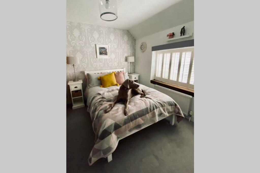 Angel Cottage, Boxgrove, Chichester - Relax And Unwind Eksteriør bilde